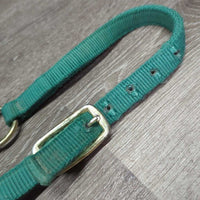Nylon Halter, adj *gc, stiff, mnr dirt, snags, fading, rubs, frays
