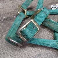 Nylon Halter, adj *gc, stiff, mnr dirt, snags, fading, rubs, frays
