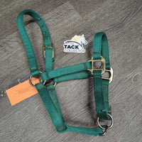 Nylon Halter, adj *gc, stiff, mnr dirt, snags, fading, rubs, frays
