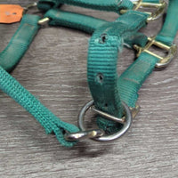 Nylon Halter, adj *gc, stiff, mnr dirt, snags, fading, rubs, frays
