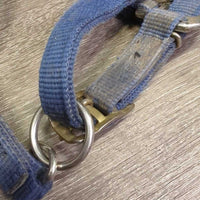 Thick Narrow Nylon Halter, adj *gc, dirty, stains, older, faded, edge rubs
