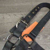 Thick Nylon Halter *fair, dirty, faded, cut tag, frayed & rubbed edges, rubs

