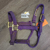 "original" Thick Nylon Halter *fair, v.dirty, stains, residue, dents, frayed edges

