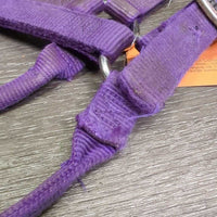 "original" Thick Nylon Halter *fair, v.dirty, stains, residue, dents, frayed edges

