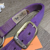 "original" Thick Nylon Halter *fair, v.dirty, stains, residue, dents, frayed edges
