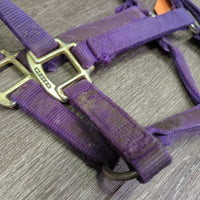 "original" Thick Nylon Halter *fair, v.dirty, stains, residue, dents, frayed edges
