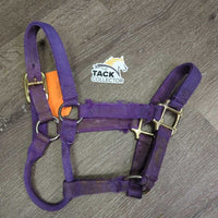 "original" Thick Nylon Halter *fair, v.dirty, stains, residue, dents, frayed edges
