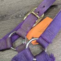 "original" Thick Nylon Halter *fair, v.dirty, stains, residue, dents, frayed edges
