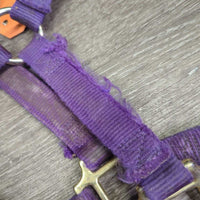 "original" Thick Nylon Halter *fair, v.dirty, stains, residue, dents, frayed edges
