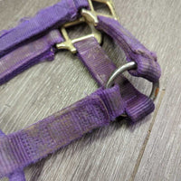 "original" Thick Nylon Halter *fair, v.dirty, stains, residue, dents, frayed edges
