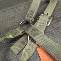 Thick Nylon Halter *fair, v.dirty, stains, discolored, faded, rubs, frays
