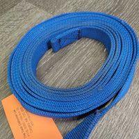 21" Fine Nose Chain, Nylon Web Lunge Line, thin chain shank *vgc, clean, mnr stains, older?
