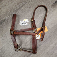 Narrow Double Stitch Leather Halter, adj, snap *vgc, clean, stiff, rubs, mnr stains, vmnr dirt
