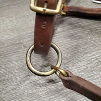 Narrow Double Stitch Leather Halter, adj, snap *vgc, clean, stiff, rubs, mnr stains, vmnr dirt
