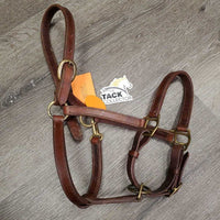 Narrow Double Stitch Leather Halter, adj, snap *vgc, clean, stiff, rubs, mnr stains, vmnr dirt

