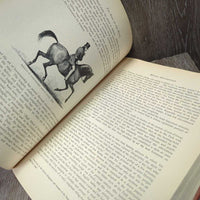 The Book of the Horse: Classic Illustrated Edition *gc, inscribed, mnr yellowed pages, bent corner, scratch
