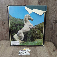 The Life History and Magic of the Horse *torn cover, fair, stains, rubs, dents, inscribed, broken binding
