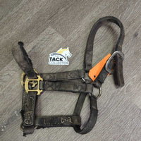 Thick Nylon Halter *fair, v.dirty, stains, residue, dents, v.frayed edges, bent grommets, faded
