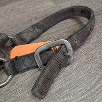 Thick Nylon Halter *fair, v.dirty, stains, residue, dents, v.frayed edges, bent grommets, faded
