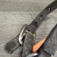 Thick Nylon Halter *fair, v.dirty, stains, residue, dents, v.frayed edges, bent grommets, faded
