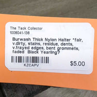Thick Nylon Halter *fair, v.dirty, stains, residue, dents, v.frayed edges, bent grommets, faded
