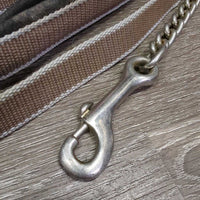 Short Nylon Web Lead Shank, Padded Loop Handle, 31" Nose Chain *gc, clean & dirty edges, rusty, chips, slice
