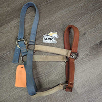 Thick Nylon Halter *gc, dirty, rusty, faded, edge scrapes, frayed holes, older
