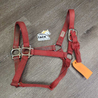 Thick Nylon Halter *fair, frays, dirty, stains, faded, v.torn hole, edge rubs, frays
