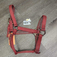 Thick Nylon Halter *fair, frays, dirty, stains, faded, v.torn hole, edge rubs, frays
