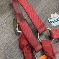 Thick Nylon Halter *fair, frays, dirty, stains, faded, v.torn hole, edge rubs, frays
