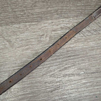 Narrow Adjustable Standing Martingale Strap, brass snap *vgc/gc, clean, mnr dents, scrapes, creases, dirt & rubs, xholes, missing keeper
