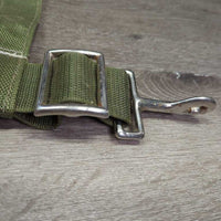 Soft Hvy Mesh Closed Stall Guard *gc, v.rusty snaps, rubs, puckers, stains, clean?, older?
