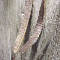 Wide Flat Headstall, Curb Bit, Plain Reins *fair, dirty, NO Throat, older, dry, stiff, dirty
