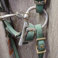 Stiff Nylon Web Headstall, Split Reins, half cheek bit, Chin Strap *gc, rubs, faded, rusty, oxidized
