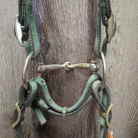 Stiff Nylon Web Headstall, Split Reins, half cheek bit, Chin Strap *gc, rubs, faded, rusty, oxidized
