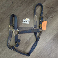Nylon Halter *gc, dirty, residue, rubbed, scuffed, faded, mnr rust
