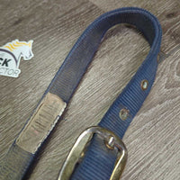 Nylon Halter *gc, dirty, residue, rubbed, scuffed, faded, mnr rust
