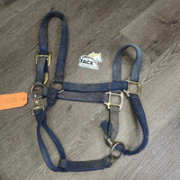 Nylon Halter *gc, dirty, residue, rubbed, scuffed, faded, mnr rust
