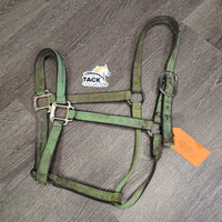 Thick Stiff Nylon Halter *gc/fair, v.dirty, gunky, stains, rubs, scrapes, frayed, hair, older
