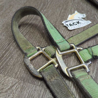 Thick Stiff Nylon Halter *gc/fair, v.dirty, gunky, stains, rubs, scrapes, frayed, hair, older
