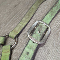 Thick Stiff Nylon Halter *gc/fair, v.dirty, gunky, stains, rubs, scrapes, frayed, hair, older
