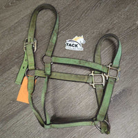 Thick Stiff Nylon Halter *gc/fair, v.dirty, gunky, stains, rubs, scrapes, frayed, hair, older
