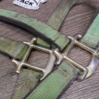 Thick Stiff Nylon Halter *gc/fair, v.dirty, gunky, stains, rubs, scrapes, frayed, hair, older
