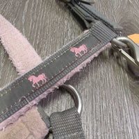 Nylon & Fleece Halter, adj, snap *fair, v.torn holes, dirty, clumpy, stains, rubs, hair
