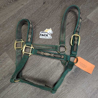 Thick Nylon Halter *gc, v.dirty, snags, gunky, frayed holes, rubs, scrapes, faded, stains
