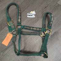 Thick Nylon Halter *gc, v.dirty, snags, gunky, frayed holes, rubs, scrapes, faded, stains
