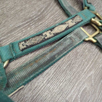 Thick Nylon Halter *gc, v.dirty, snags, gunky, frayed holes, rubs, scrapes, faded, stains
