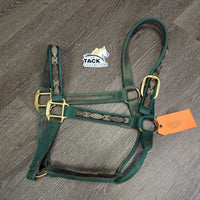 Thick Nylon Halter *gc, v.dirty, snags, gunky, frayed holes, rubs, scrapes, faded, stains
