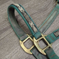 Thick Nylon Halter *gc, v.dirty, snags, gunky, frayed holes, rubs, scrapes, faded, stains
