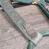 Thick Nylon Halter *gc, v.dirty, snags, gunky, frayed holes, rubs, scrapes, faded, stains
